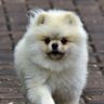 Marlize@Steelpoort's profile picture