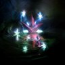 Profilbild von Shine