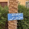 وليد الغافري..'s profile picture