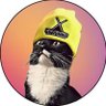 xencat's profile picture