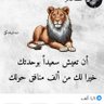 ابو حسين's profile picture