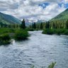 DenverDawg profil fotoğrafı