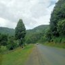C's's profile picture