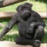 ReJe Jr's profile picture