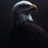 م. عمر العراقي's profile picture