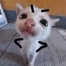Profilbild von Na