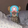 KzyGotNoHome profil fotoğrafı