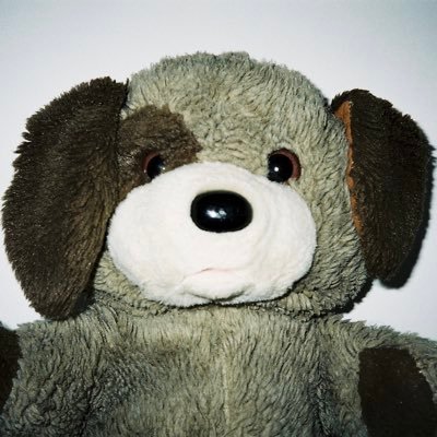 cletusstrap's profile picture