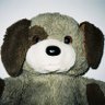 Profilbild von Cletus Strap