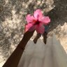 Fay's profile picture