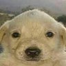 Profilbild von Layon