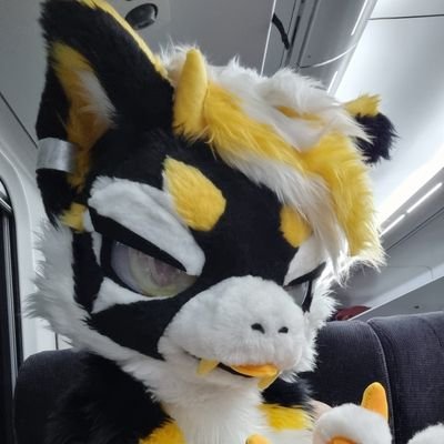 RoukaWolf's profile picture