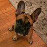BUBBA's profile picture
