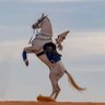 Фото профиля أجنادين