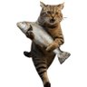 Profilbild von Thief Cat - Nami