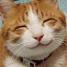 ちゃちゃ猫さん's profile picture