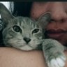 PENGABDI MOMOTARO!!! profil fotoğrafı