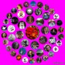 👣🐾🐾DS🌹's profile picture