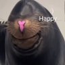 DrekinXan's profile picture