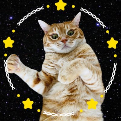 _mi_dayo_3's profile picture