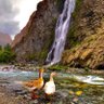 Layo profil fotoğrafı