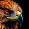 خالد المطيري 🇸🇦's profile picture
