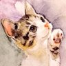 きしがみ profil fotoğrafı