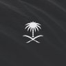 Profilbild von Eyad Rajab 🇸🇦