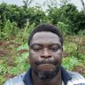 Фото профиля Emmanuel Igechi
