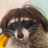 Profilbild von sad girl