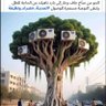 Фото профиля Yaser Salm