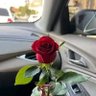 Qamar Ali Shahid's profile picture
