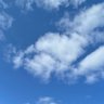 たかれんらくよー profil fotoğrafı