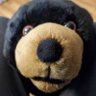 Profilbild von Bob Dillon