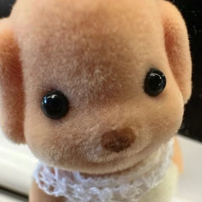 김구름's profile picture