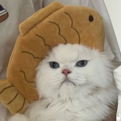 옘𓅿's profile picture