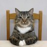 Profilbild von bubupupu