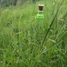 Фото профиля Algazali
