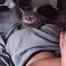 Buttcat's profile picture