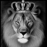LIONSCALL's profile picture