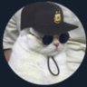 Nélson Gómez's profile picture
