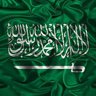 فارس الحربي 🇸🇦's profile picture