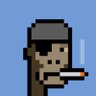 Dominik's profile picture