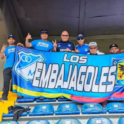 losembajagoles's profile picture