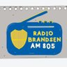 Фото профиля Radio Brandsen 805