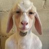 _.joan_.14's profile picture