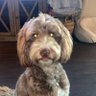 Terry A Brown's profile picture