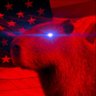 Murray Capybarad 🏴 的头像