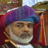 Profilbild von Habib Alrahbi