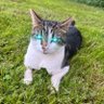 Dora Hodl's profile picture